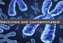 Die Wahrheit von Corvelva über humane fötale DNA-kontaminierte Impfstoffe