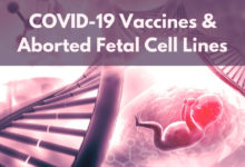 COVID-19-Impfstoffe mit abgebrochenen fetalen Zelllinien